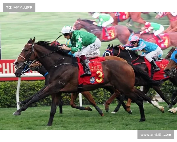 香港马会赛事(香港2021年马会赛场直播)